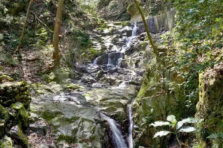 �����̑�E����